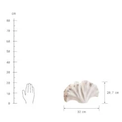 Deko-Objekt Blatt Höhe 21cm GINKGO In Creme 10 Deko-Objekt Blatt Höhe 21cm GINKGO In Creme -Baumarkt butlers deko objekt blatt hohe 21cm ginkgo in creme 3