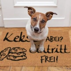 Fußmatte Kekse Dabei? Eintritt Frei! In Natur/Schwarz - 40 X 60 Cm 13 Fußmatte Kekse Dabei? Eintritt Frei! In Natur/Schwarz - 40 X 60 Cm -Baumarkt relaxdays fussmatte kekse dabei eintritt frei in natur schwarz 40 x 60 cm 4