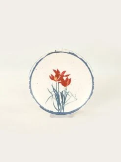 24tlg. Kombiservice In Creme/ Bunt -Baumarkt violeta home 24tlg kombiservice in creme bunt 5